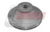 SCANI 1480333 Cap, wheel bearing